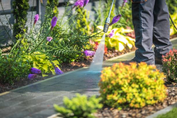 Best Boat and Dock Cleaning  in Peebles, OH